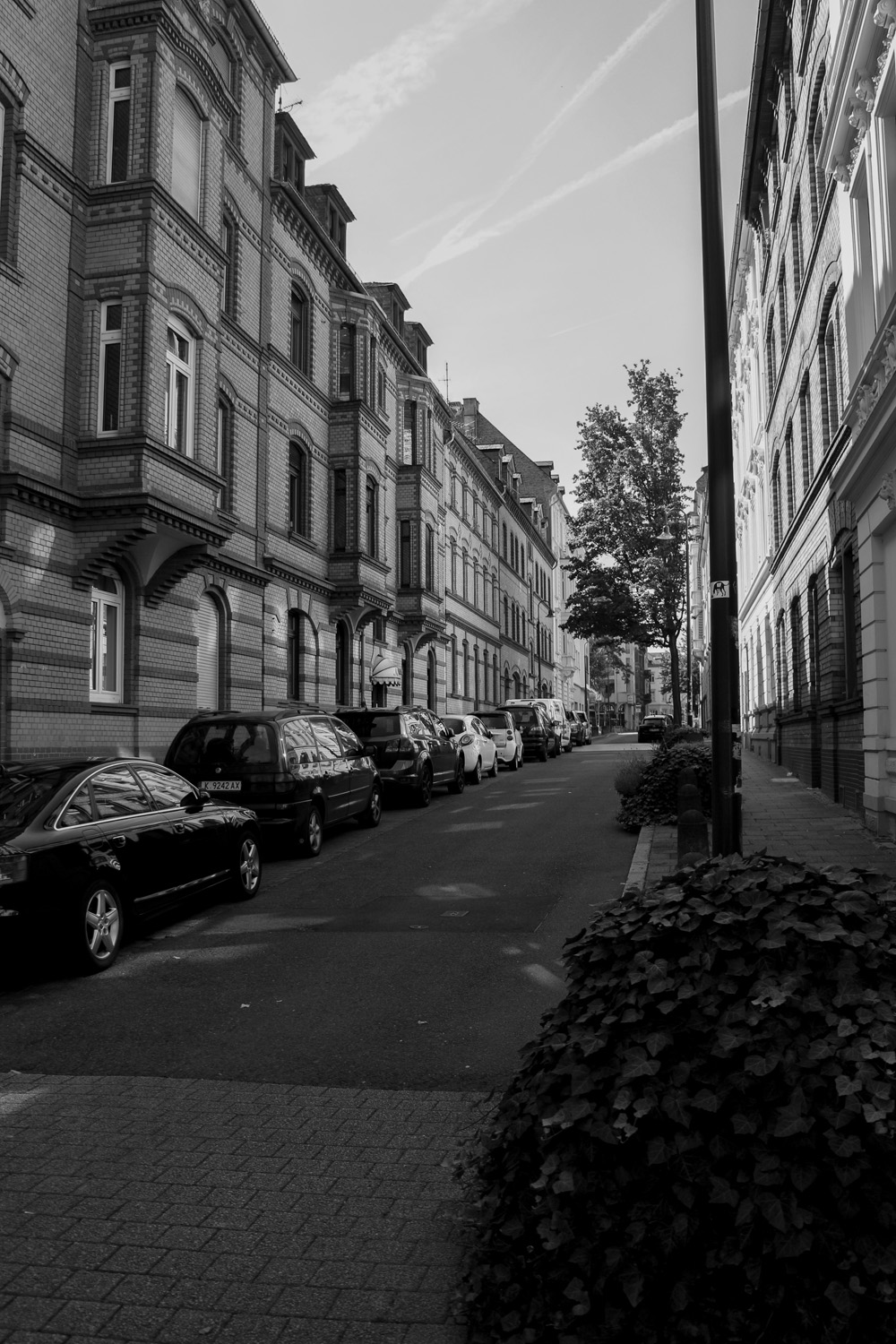 kubis_sw_5