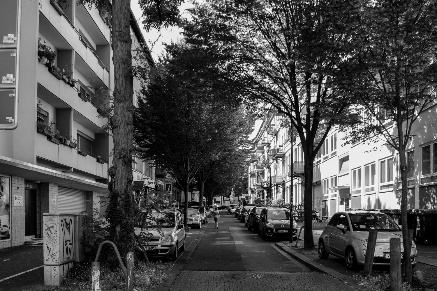kubis_sw_7